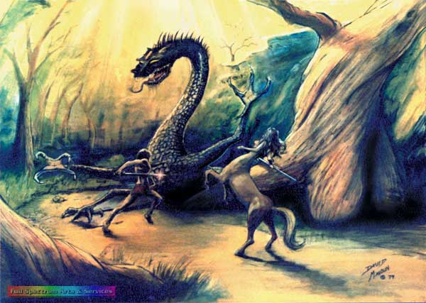 Dragon Fight