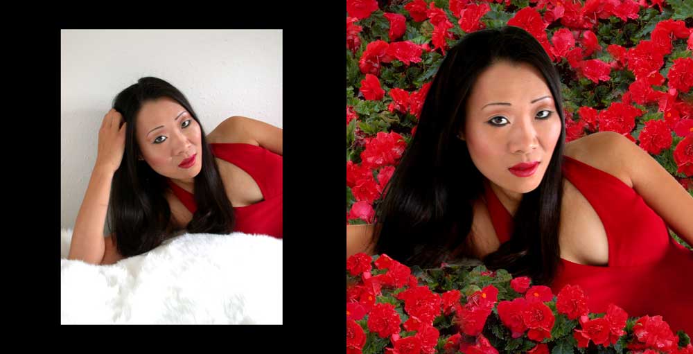Bed of Roses